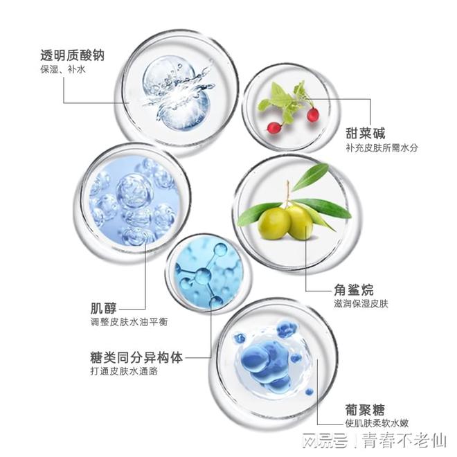 梦缘——敏感肌与自然滋养的不朽情缘正规网站爱心301