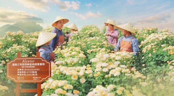 花瓣沐浴露连续三年全球销量第一不朽情缘市场地位证明：蔻斯汀(图3)