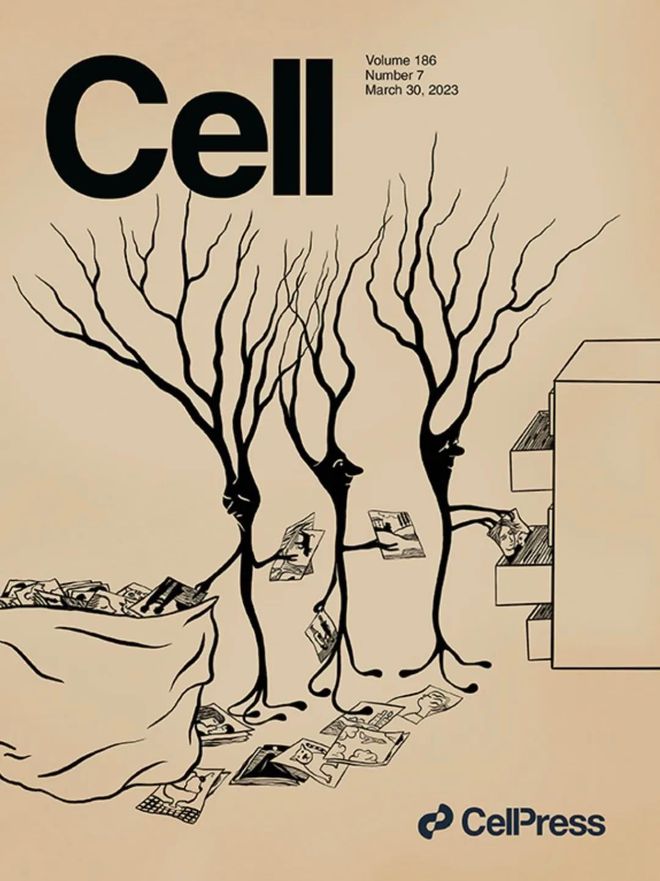 美妆内卷从全新「红腰子」看肌肤抗老赛道跃迁mg不朽情缘游戏网站登录科研长期主义破局(图11)